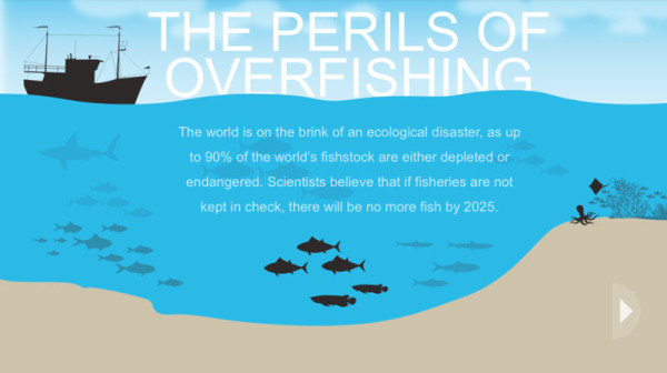 Overfishing Infographic Harmful Methods Of Fishing KarBel