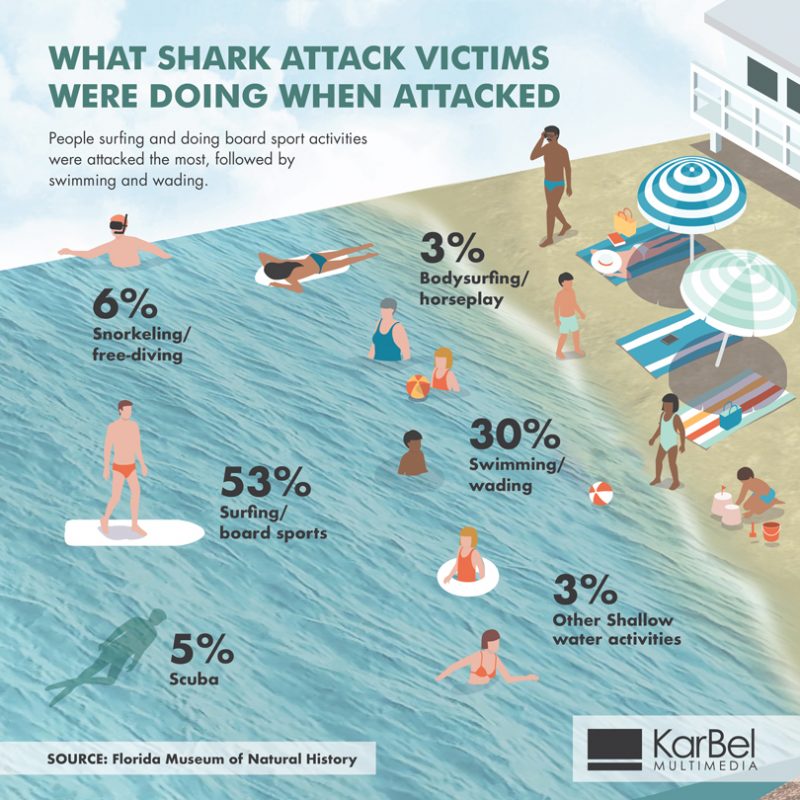 Shark Attack Victims | Victim Activity, Infographic | KarBel Multimedia